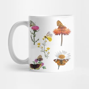 Quartet Butterfly Floral Mug